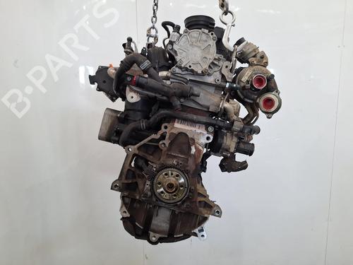 Used Engine Engine VW GOLF VI (5K1) 1.6 TDI (105 hp) 34339362 34339362