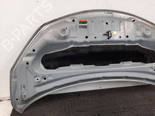 Motorhaube NISSAN NOTE (E12) 1.2 DIG-S | BP31751417C1 