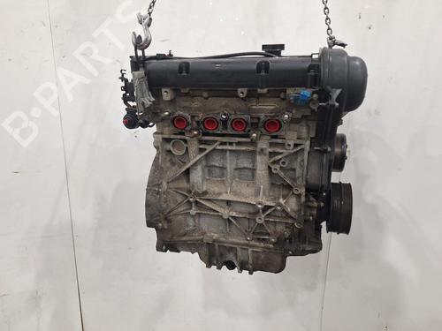 Engine FORD FOCUS II (DA_, HCP, DP) 1.6 | BP32239989M1
