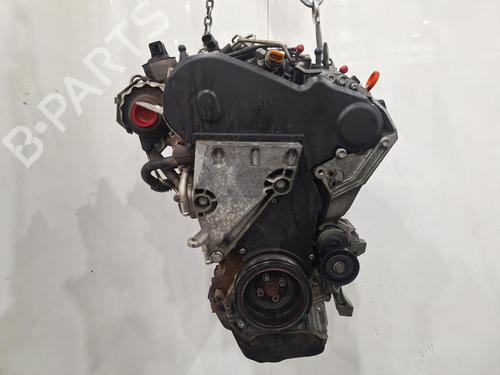 Engine VW POLO V (6R1, 6C1) 1.6 TDI | BP29496844M1 