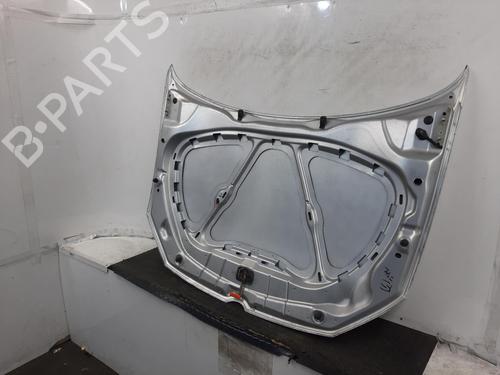 Hood VW POLO V (6R1, 6C1) 1.2 | BP29417902C1 
