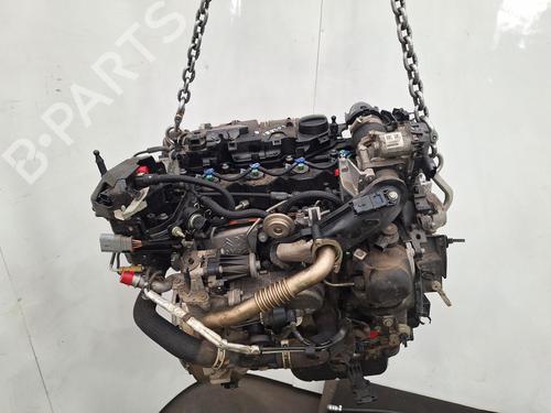 Engine FORD KUGA II (DM2) 1.5 TDCi | BP29398253M1 
