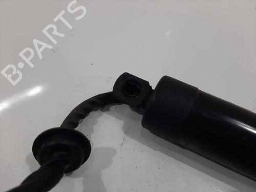 Shock absorber spring LAND ROVER RANGE ROVER IV (L405) 4.4 SDV8 4x4 | BP29553615C152 