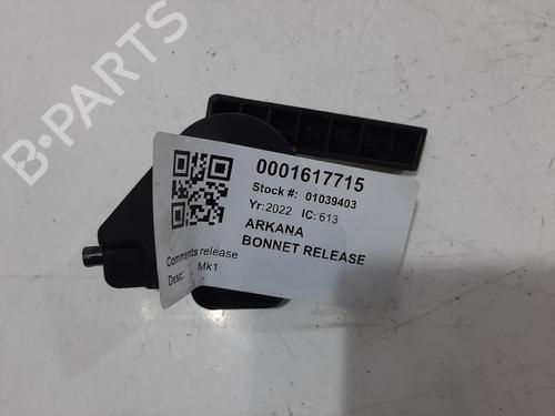 Other RENAULT ARKANA I (LCM_, LDN_) 1.3 TCe 140 (LDN0) | BP32270043O1