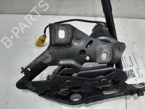 Andre AUDI A4 B9 Avant (8W5, 8WD) 2.0 TDI | BP31208357O1