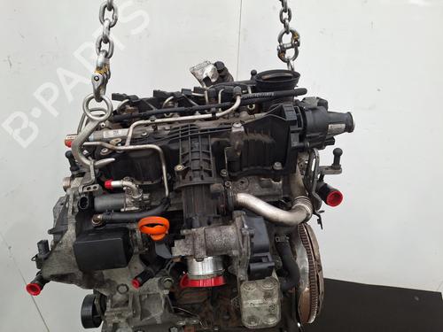 Engine AUDI A3 Convertible (8P7) 1.6 TDI | BP31928031M1 