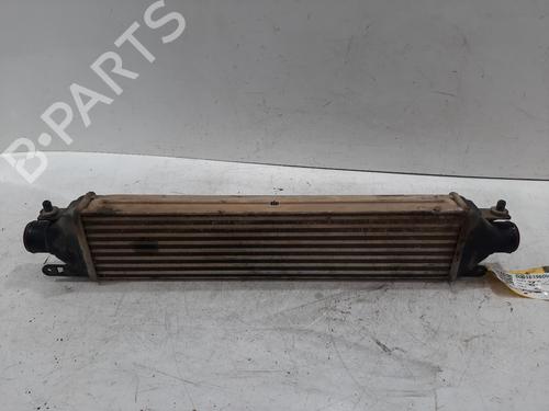 Intercooler FIAT DOBLO Platform/Chassis (263_) 1.3 D Multijet | BP32422635M30
