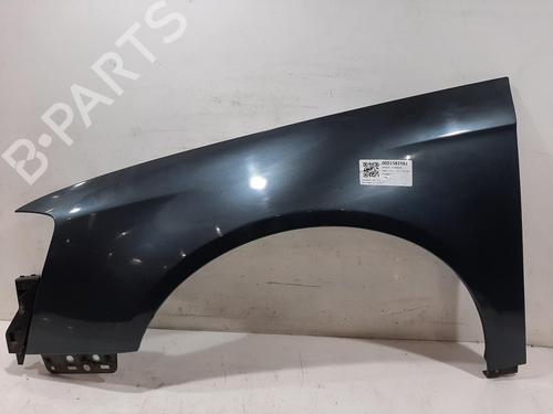 Used Left front fenders VW PASSAT B6 (3C2) 2.0 TDI 16V (140 hp) 30789587