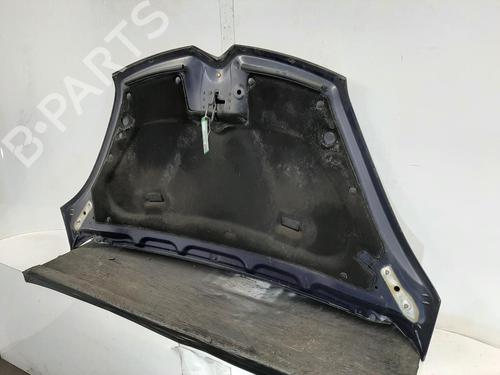 Hood CITROËN C4 Grand Picasso I (UA_) 1.6 HDi 110 | BP26797470C1