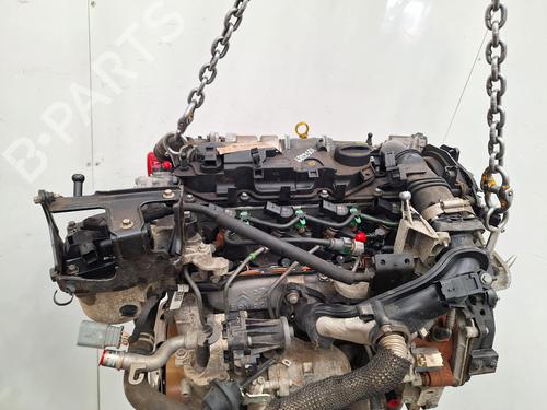 Engine FORD FOCUS III 1.6 TDCi | BP36662441M1 - Image 5