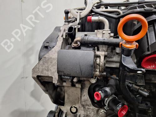 Engine VW GOLF VI (5K1) 1.6 TDI | BP30120111M1