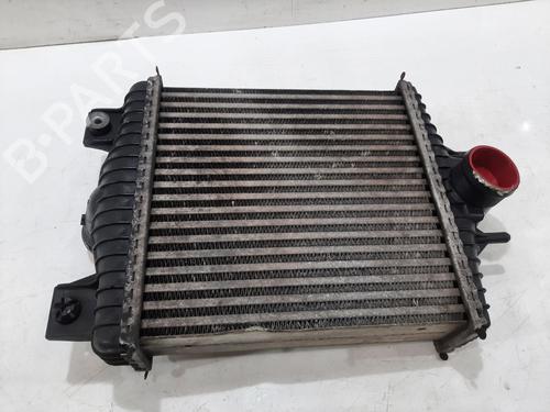 Intercooler LAND ROVER RANGE ROVER IV (L405) 4.4 SDV8 4x4 | BP30179446M30