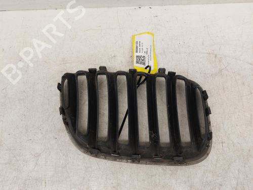 Grille BMW X5 (E53) 3.0 d | BP26753738C40 
