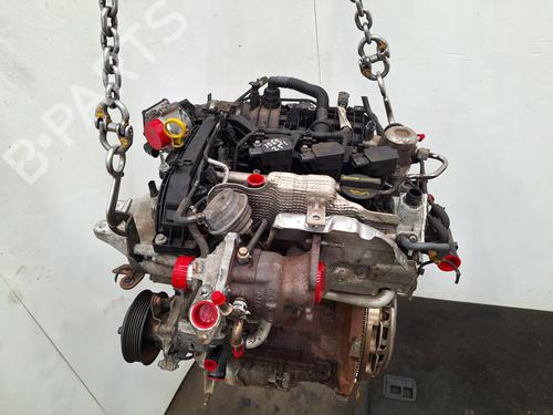 Engine FORD FIESTA VI (CB1, CCN) 1.0 EcoBoost | BP36662202M1 - Image 6