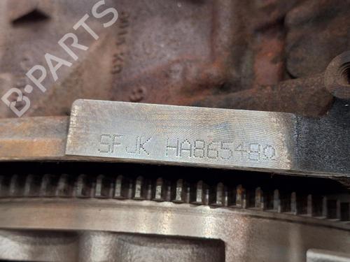 Engine FORD FIESTA VII (HJ, HF) 1.0 EcoBoost | BP30057488M1 