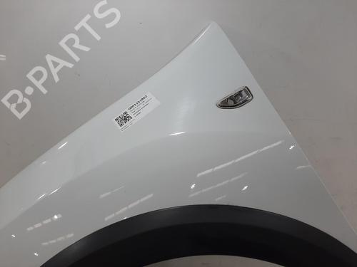 Left front fenders DACIA SANDERO II TCe 90 (B8M1, B8MA, B8AC) | BP30180030C41