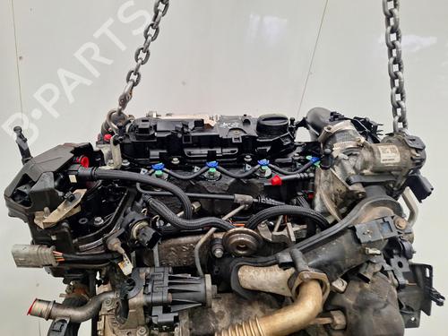 Engine FORD C-MAX II (DXA/CB7, DXA/CEU) 1.5 TDCi | BP36697678M1 - Image 5