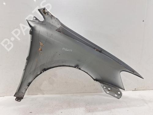 Left front fenders VW POLO V (6R1, 6C1) 1.4 TDI | BP31964565C41 