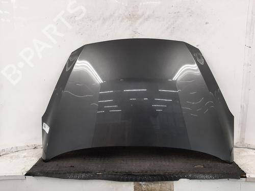 hood-ford-fiesta-vii-hj-hf-2017-33647949 main image