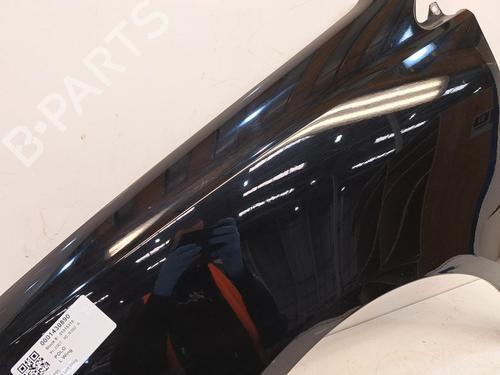 Left front fenders VW POLO (9N_, 9A_) 1.2 | BP26870775C41 