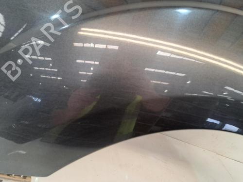 Left front fenders CITROËN BERLINGO Box Body/MPV (B9) 1.6 BlueHDi 100 | BP27365606C41