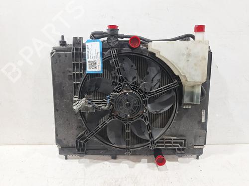 Kit radiatore NISSAN JUKE (F15) 1.6 (117 hp) 31316066