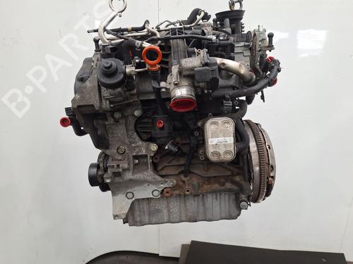 Engine VW TIGUAN (5N_) 2.0 TDI 4motion | BP31914306M1 