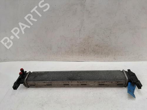 Used Intercooler Intercooler SEAT IBIZA IV (6J5, 6P1) 1.2 TSI (105 hp) 33335372 33335372