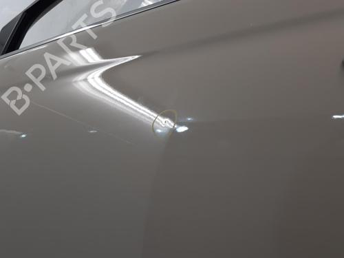 Left front door FIAT 500 (312_) 1.2 (312AXA1A) | BP29989175C2