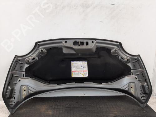 Hood FIAT 500 (312_) 1.2 (312AXA1A) | BP29445091C1 