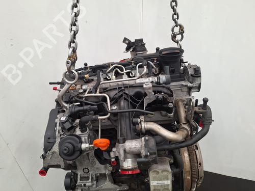 Engine VW GOLF VI Convertible (517) 2.0 TDI | BP29398332M1 