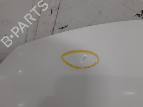 Hood CITROËN C4 Picasso II 1.6 BlueHDi 120 | BP26852969C1