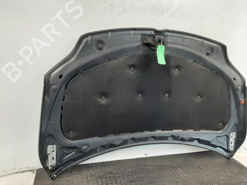 Hood VW GOLF PLUS V (5M1, 521) 1.6 TDI | BP29397919C1 