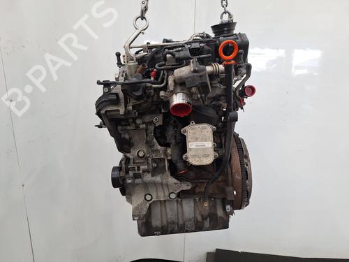 Engine VW POLO V (6R1, 6C1) 1.2 TDI | BP31751429M1 