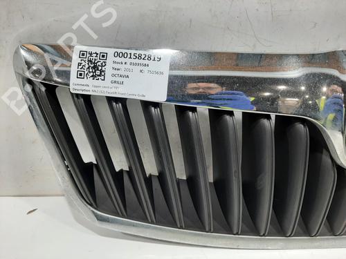 Grelha SKODA OCTAVIA II (1Z3) 1.6 TDI | BP30789539C40 