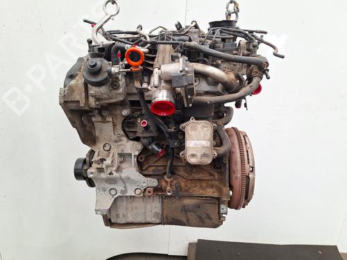 Engine SEAT IBIZA IV (6J5, 6P1) 2.0 TDI | BP36384019M1 - Image 5