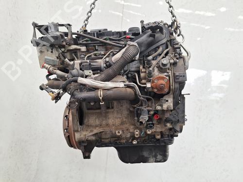 Motor FORD FIESTA VI (CB1, CCN) 1.6 TDCi | BP28311951M1 