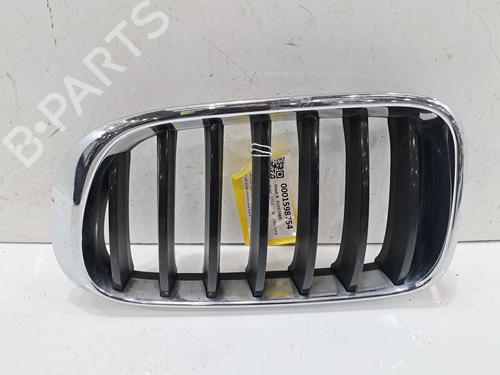 Used Grille BMW X3 (F25) xDrive 20 d (190 hp) 31209557