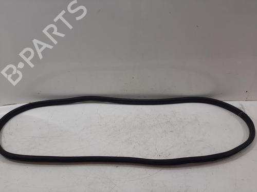 Portierrubbers Portierrubbers BYD DOLPHIN EV (204 hp) 37160398 37160398