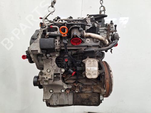 Engine VW GOLF VI (5K1) 1.6 TDI | BP36879330M1  - Image 5