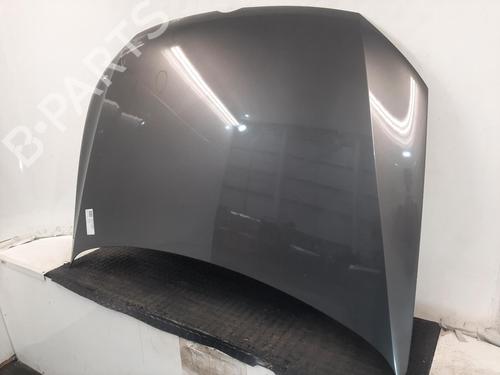 Hood VW POLO V (6R1, 6C1) 1.2 | BP29059973C1 