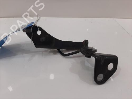 Hinge/Door check strap LAND ROVER RANGE ROVER EVOQUE (L538) 2.0 D 4x4 | BP27502211C146 