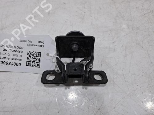 Used Hinge/Door check strap Hinge/Door check strap VAUXHALL GRANDLAND (OV64) 1.2 Hybrid (136 hp) 40010754 40010754