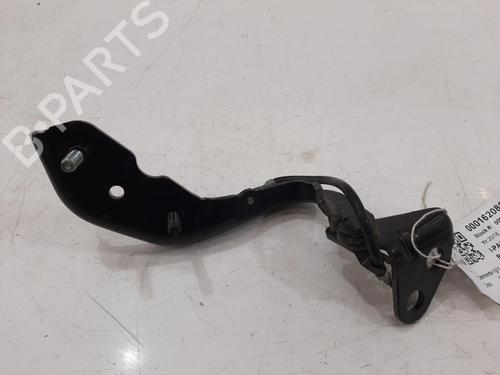 Hinge/Door check strap JAGUAR I-PACE (X590) EV400 AWD | BP31978061C146