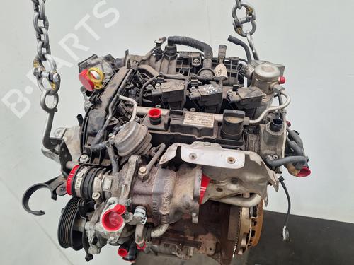 Engine FORD FIESTA VII (HJ, HF) 1.0 EcoBoost | BP33648075M1 - Image 6