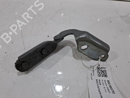 Used Hinge/Door check strap Hinge/Door check strap FORD KUGA III (DFK) 2.0 EcoBlue 4x4 (190 hp) 40455352 40455352
