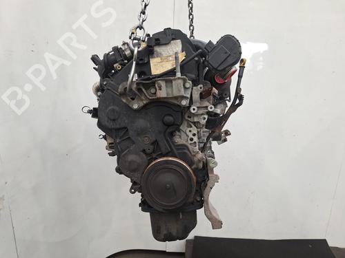 Motor FORD C-MAX II (DXA/CB7, DXA/CEU) 1.6 TDCi (115 hp) 29810116