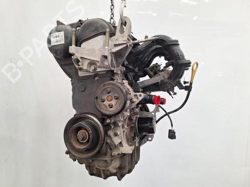 Used Engine FORD FIESTA VI (CB1, CCN) 1.25 (82 hp) 31903738