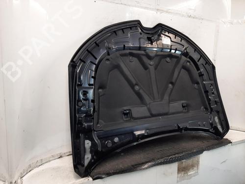 Hood RENAULT ARKANA I (LCM_, LDN_) 1.3 TCe 140 (LDN0) | BP32026851C1 