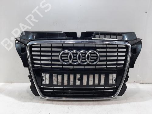 Used Grille AUDI A3 Convertible (8P7) 1.6 TDI (105 hp) 30494965